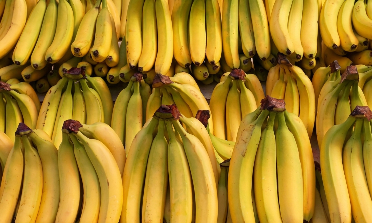 Fresh bananas