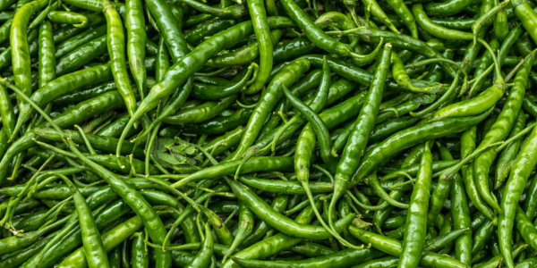 Fresh Indian chillies