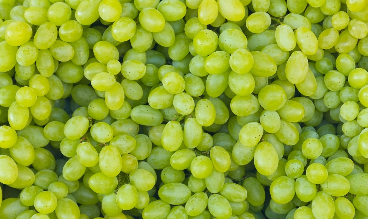 Fresh Indian grapes