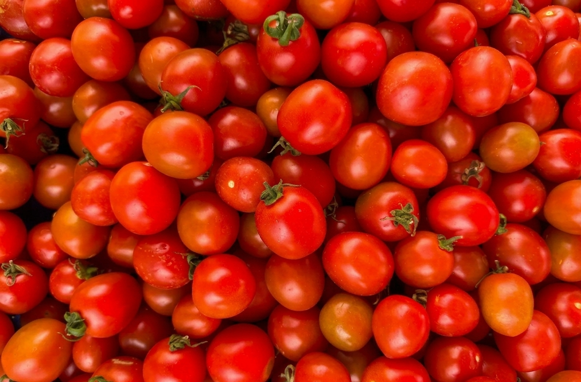 Fresh Indian tomatoes