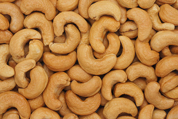 Golden roasted cashew nuts — oil roasted and dry roasted