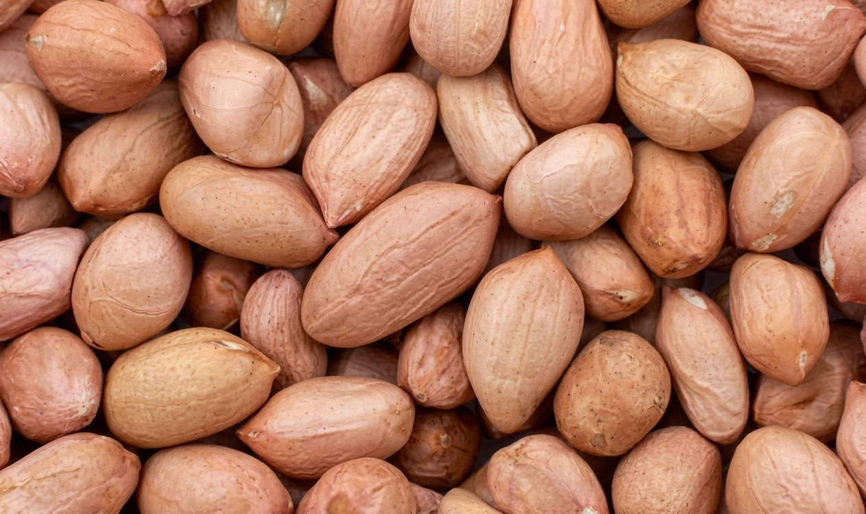 Peanut Products Export
